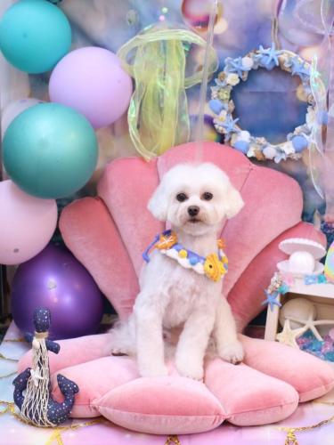 20240807ミルクくん